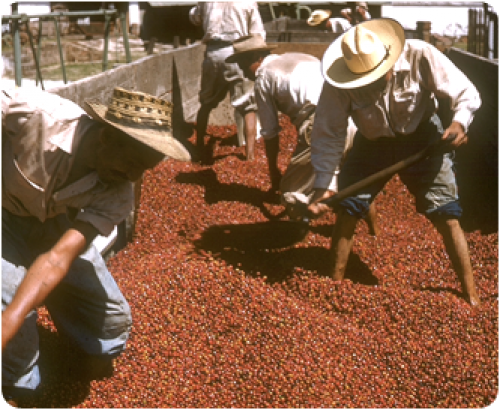 1856: Settlers take the lead